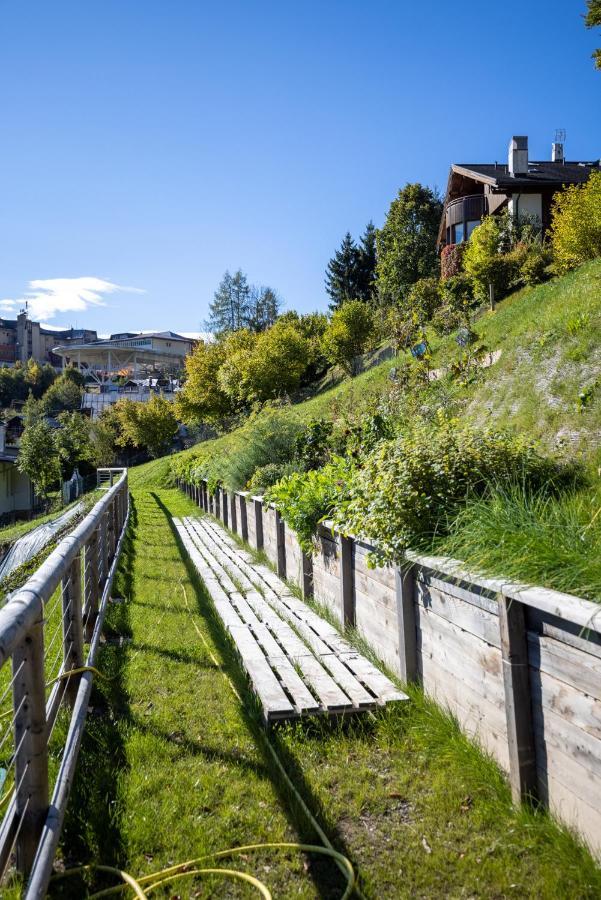 Giallo Dolomiti Wellness Pieve di Cadore Exterior photo